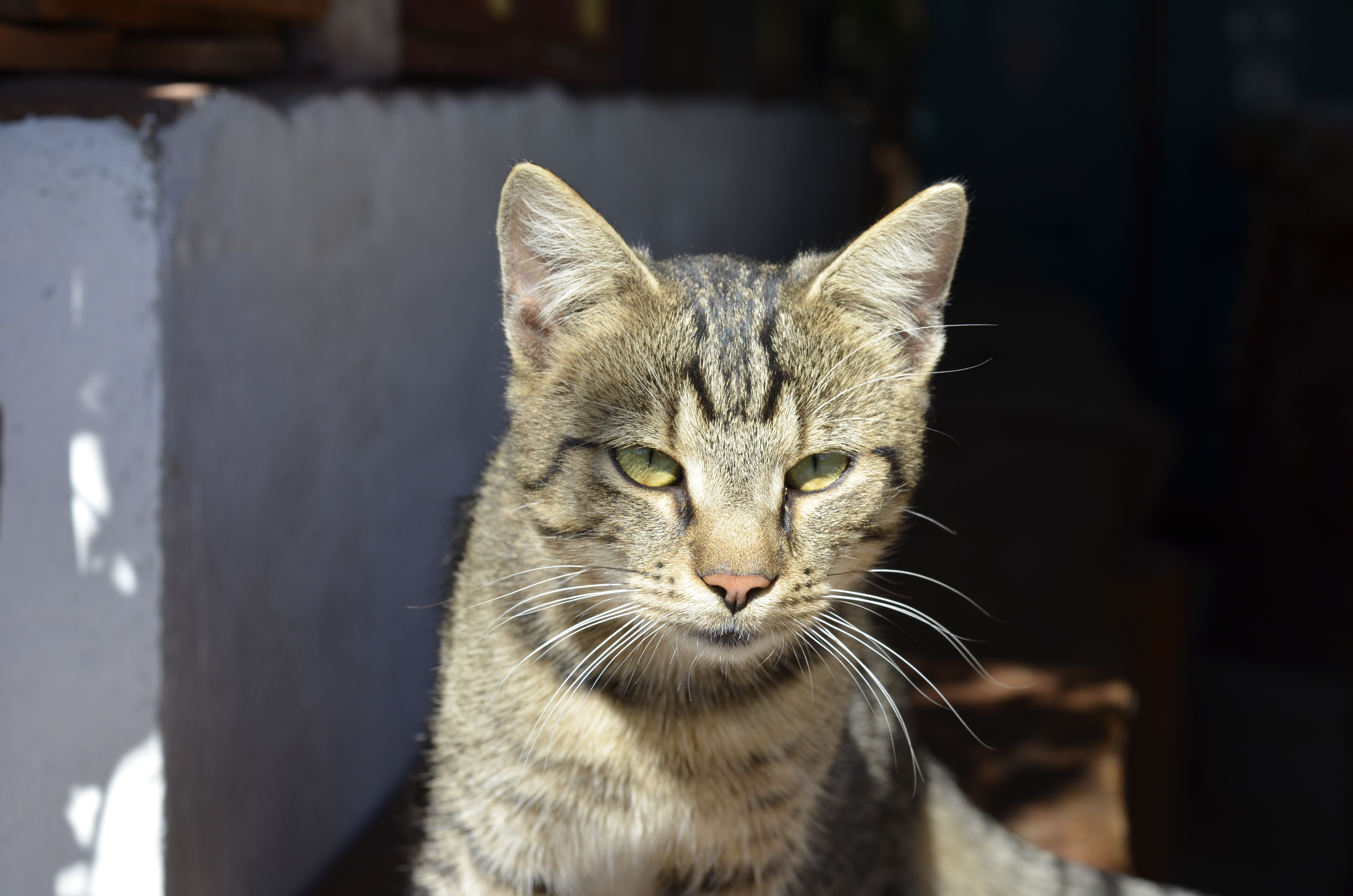 Őrségi vendégház